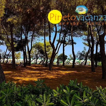 Apartmán Myconos C2 - *