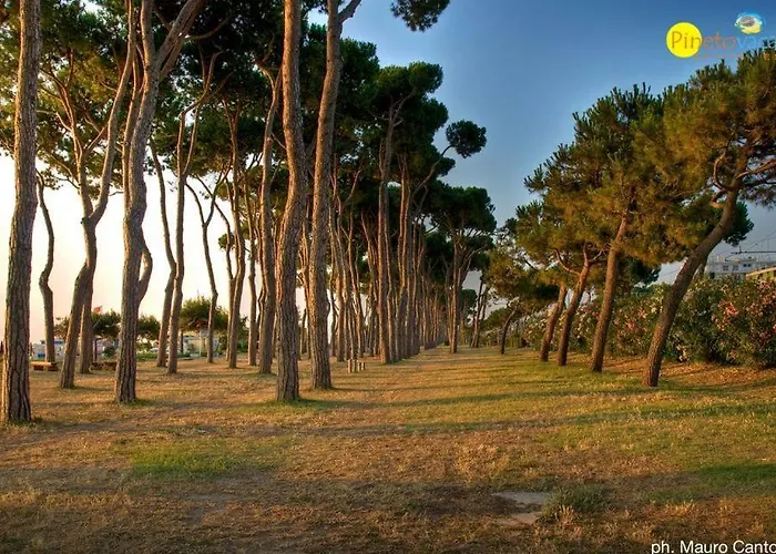 Myconos C2 - דירה *